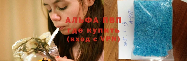 ECSTASY Алзамай