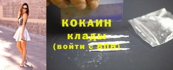 стаф Алексин