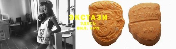 ECSTASY Алзамай