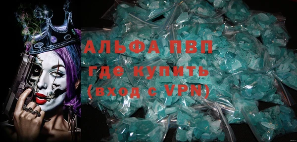ECSTASY Алзамай
