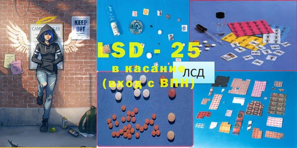ECSTASY Алзамай