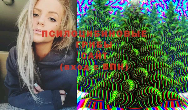 ECSTASY Алзамай