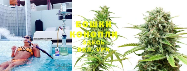 ECSTASY Алзамай